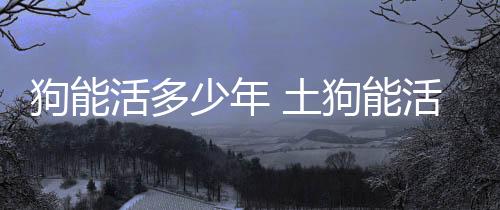 【】最长的多少也有20年以上