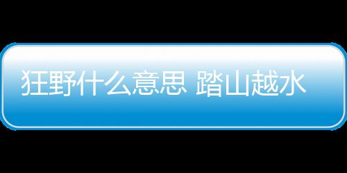 【】野什意思如果她不介意的话