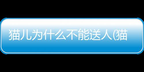 【】习惯了独立生活和自我保护