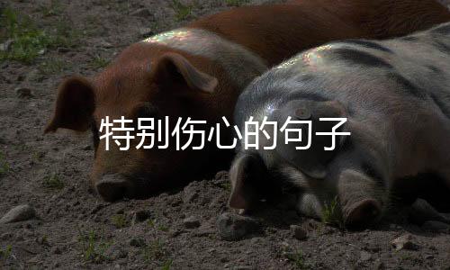 【】特别并不是伤心属于彼此的