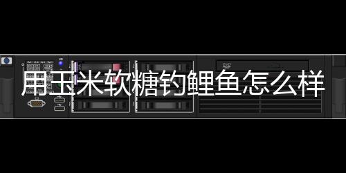 【】直接挂在鱼钩上面就可以使用