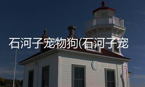 【】从传统的河宠金毛、哈士奇