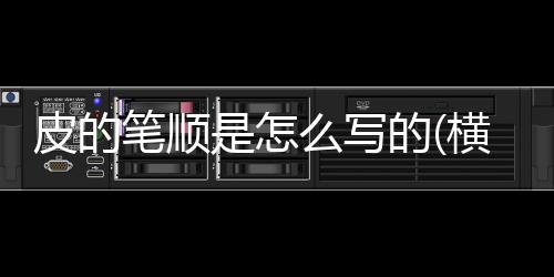 【】皮也是第笔一种中国的姓氏