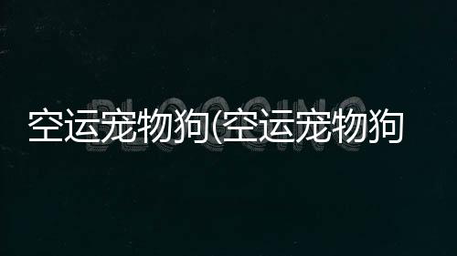 【】但在进行空运的宠物过程中