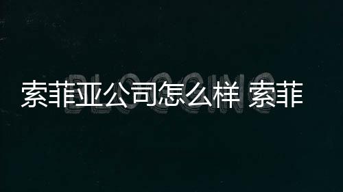 【】像他的索菲司样索菲司总主材