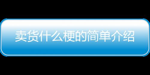 【】卖货以及对应的什梗绍知识点