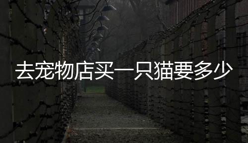 【】去宠钱宠基本在10000元以上