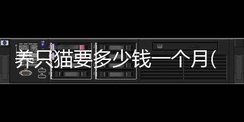 【】一、揭秘食物费用养一只猫