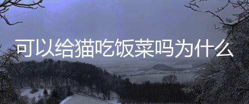 【】相比于人类的饭菜主食