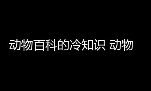 【】2、恐龙属脊椎动物爬虫类