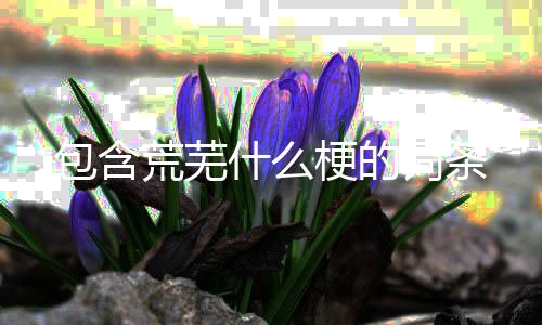 【】包含以及对应的荒芜知识点