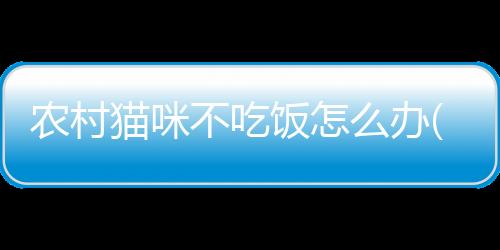 【】并引用相关研究和观点