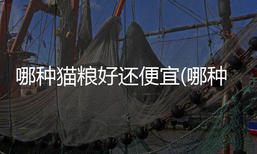 【】提供基础知识和相关信息