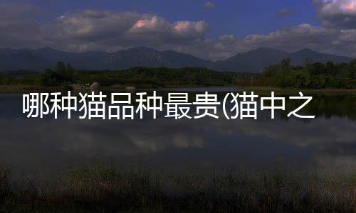 【】而其中某些品种则尤其受欢迎