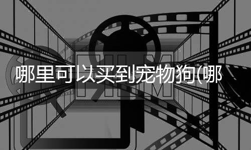 【】宠物宠物并提供相关背景信息