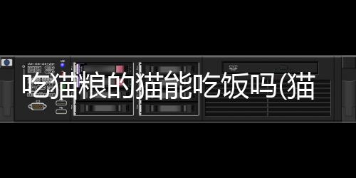 【】猫采用小分量多餐的摄食方式