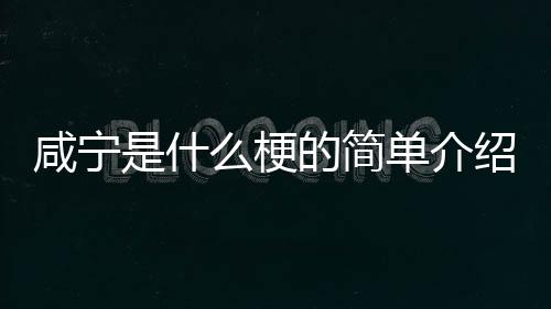 【】以及对应的什梗绍知识点