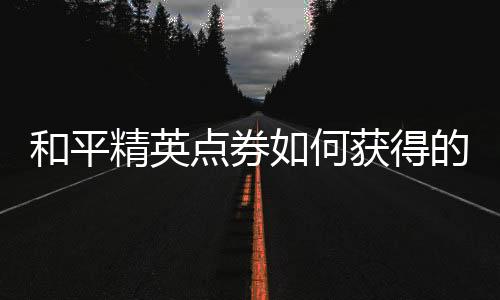 【】精英在《和平精英》游戏中