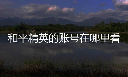 【】和平号里进入游戏主界面