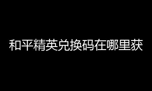 【】精英参与合作与推广活动