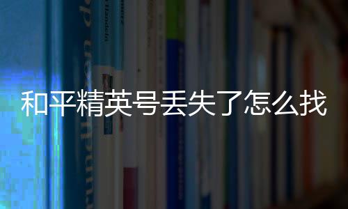 【】失找可以联系和平精英客服