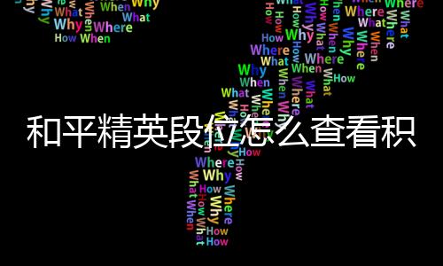 【】段位和平精英游戏中