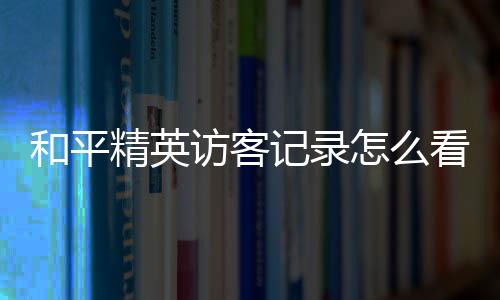 【】精英记录挺容易解决的访客