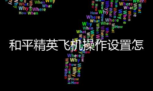 【】4、飞机最后选择自定义模式