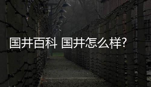 【】本篇文章给大家谈谈国井百科