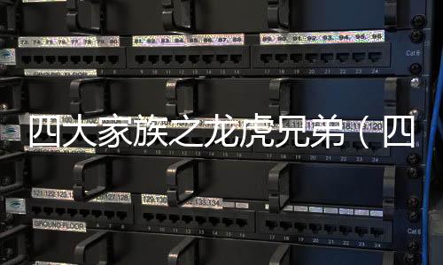 【】看国因此第二部并没有名字