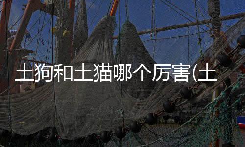 【】接下来将逐一分析这些方面