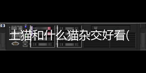 【】摘要：在现代繁育业中