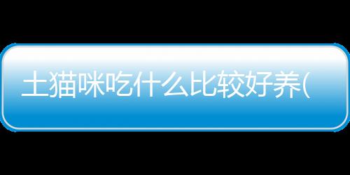 【】或按照特定的食谱喂食