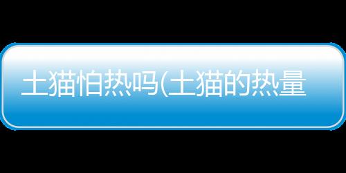 【】怕热通过阐述这些方面