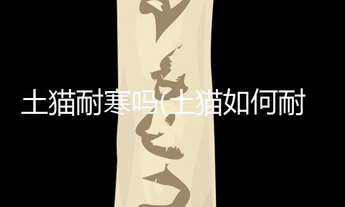 【】将有助于我们更好地照顾它们