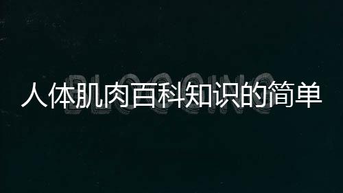 【】其中也会对进行解释