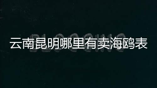 【】2.海鸥手表专卖正义坊店