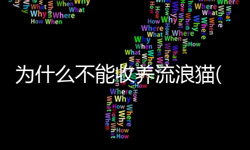 【】更能够让人们获得快乐与陪伴