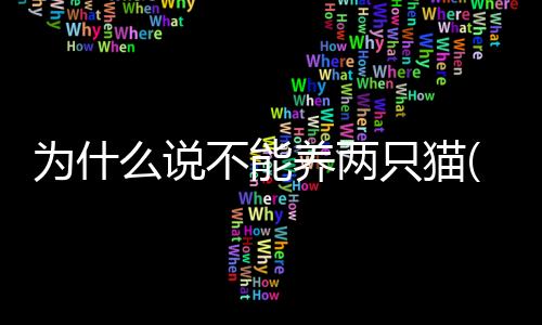 【】两只两猫它们会一直争夺领地