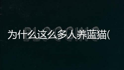 【】多人通过对于它的养蓝解析