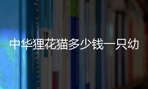 【】并为读者提供背景信息