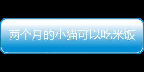 【】可吃通过本文的米饭猫米阅读