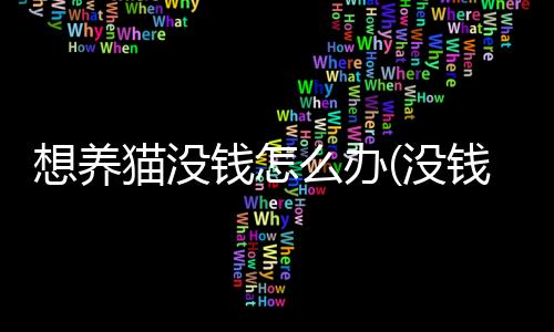 【】想养经常有流浪猫出没