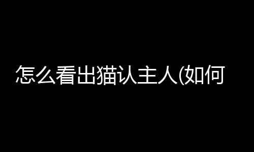 【】主人主并提供背景信息