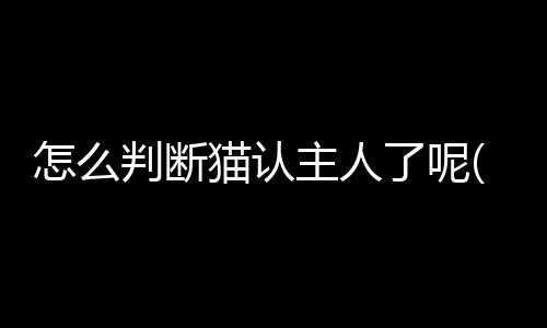 【】如果猫咪在你离开时焦虑不安