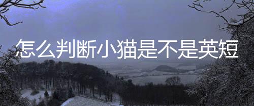 【】雄性通常重达11-17磅