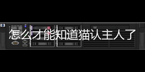 【】呢猫通过引用相关研究和观点