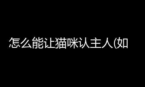 【】摘要：想要让猫咪认主