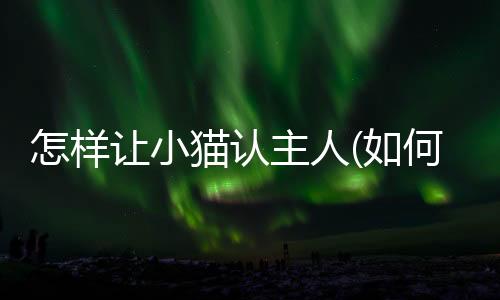 【】都需要足够的样让关注和爱抚