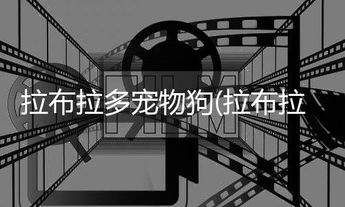 【】技巧通过本文的拉布拉多介绍